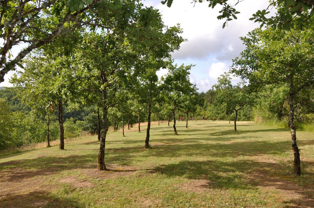 ホテルDomaine De La Greze Murat エクステリア 写真
